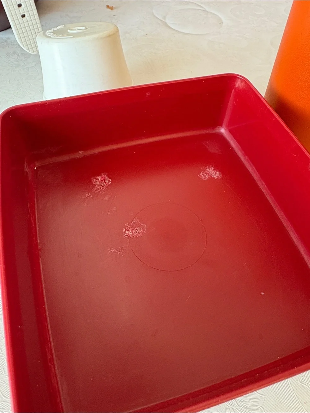 Vintage Tupperware Sandwich box and Ketchup Pump Container
